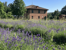 Il Parco della Chiusa protagonista del festival It.a.cà.