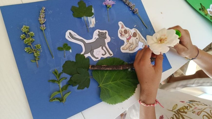Sinergie con i più piccoli!