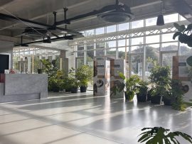A proposito di noi: La Fraternità